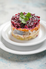 Shuba salad. Russian layered salad with beet, potato, carrot,  pickled herring and mayonnaise for Christmas dinner