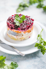 Shuba salad. Russian layered salad with beet, potato, carrot,  pickled herring and mayonnaise for Christmas dinner