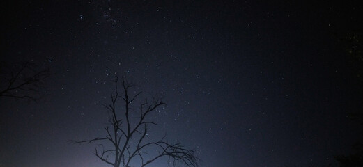 Midnight Stars