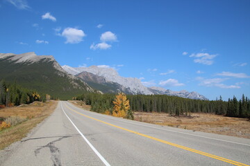 Autumn Along The Highway, Nordegg, Alberta
