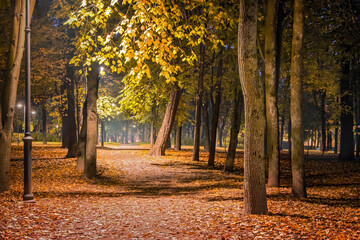 View of departing path of night autumn park illuminated by lanterns and strewn with yellow foliage