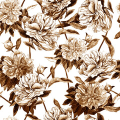 Illustration, pencil. Peony flower pattern. Freehand drawing of flowers.