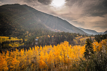 Cottonwood Pass Road Colorado in fall