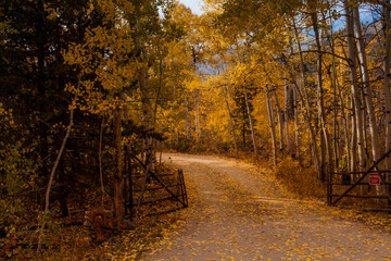 Cottonwood Pass Road Colorado in fall