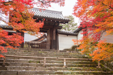 京都、曼殊院の紅葉