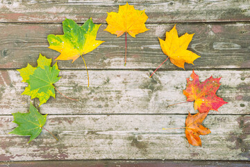 colorful autumn leaves on the old wooden background