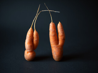 Ugly vegetables. Two odd ugly form carrot on  black background.