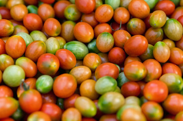 Close-up of freshly picked green, red and orange cherry tomatoes