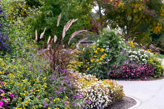 Bl&uuml;ten und Gr&auml;ser im herbstlichen Garten - moderne Gartengestaltung