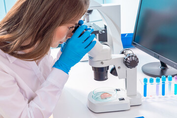 Inspection of meat and fish quality in the food quality laboratory