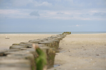 Wooden groynes with beach and sea.