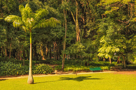 Parque Lage, Rio de Janeiro.
O Parque Henrique Lage é um parque público da cidade do Rio de Janeiro, localizado aos pés do morro do Corcovado, na rua Jardim Botânico.