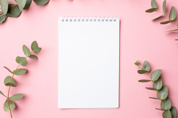 Notebook and green plant eucalyptus on a pink background