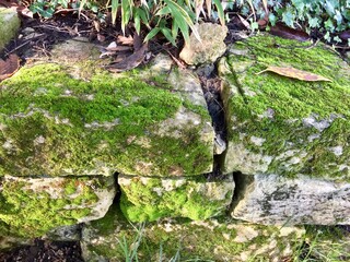 Mur en pierre sèche dans un jardin