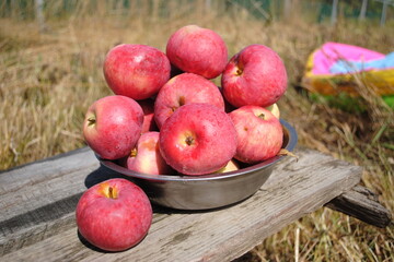 Apples in a bowl