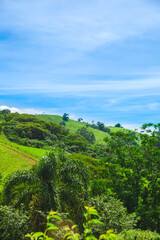 Green hill sunny day and blue sky in Brazil vertical