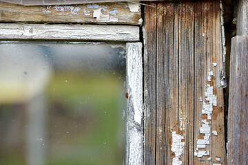 Old window frames and rotten arms and hinges