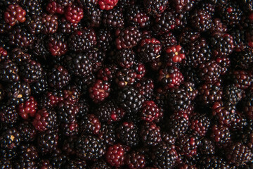 Full Frame shot of ripe Blackberries (bramble fruits). Abstract textured food background. Copy...