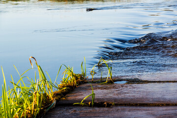 Rzeka Narew w Zawykach. Szlak Konopielki, Podlasie, Polska © podlaski49