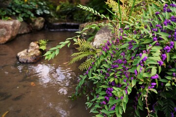 Yellow small flower besides pond of Japanese garden in Kanazawa Japan.