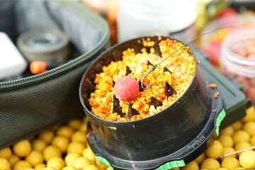 carp food with hook and mounting for big fish