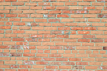 Naklejka premium old brick wall