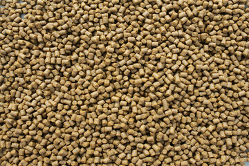 the best carp food cooked with a hook and mounting