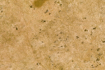 Scorched Earth