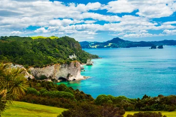 Foto op Canvas Stingray Bay at Cathedral Cove Marine Reserve in New Zealand © Fyle