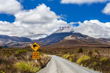 Poster Kiwi teken en zet Ngauruhoe op in Nieuw-Zeeland © Fyle