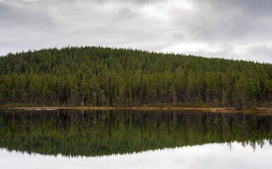 Wald Natur See in Schweden mit Spiegelung im Wasser