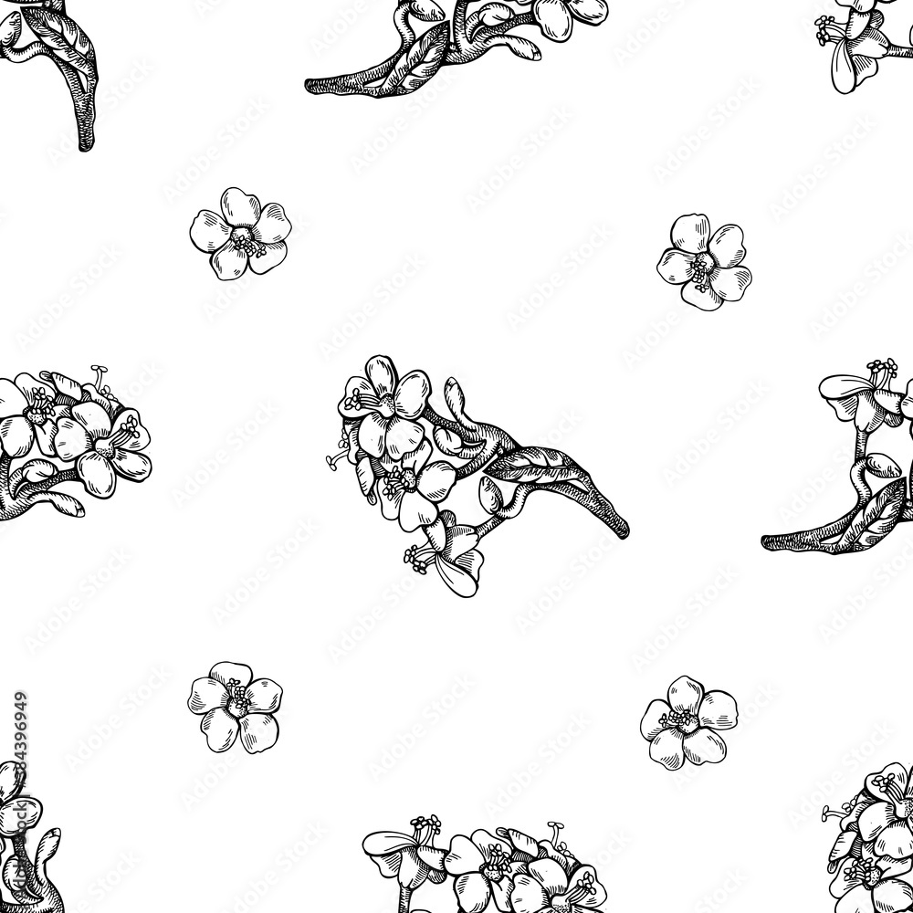 Wall mural Seamless pattern with black and white milkweed