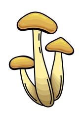 ISOLATED MUSHROOM ON A WHITE BACKGROUND