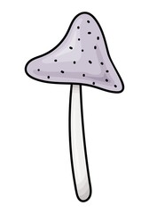 ISOLATED MUSHROOM ON A WHITE BACKGROUND