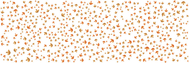 Vector set of abstract backgrounds with copy space for text - autumn fall doodle pattern