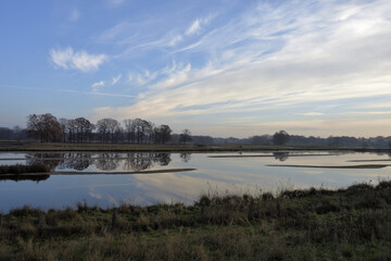 Nature reserve with lakes in sunny weather