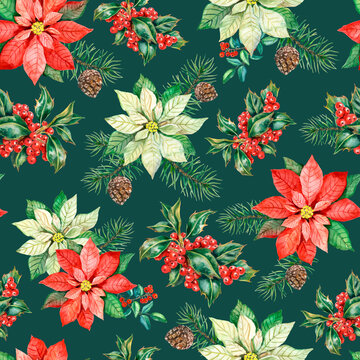 Watercolor Christmas Pattern With Red And White Poinsettia Flowers And Holly Berries On Dark Green Background