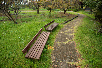 bench in the park