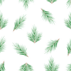 watercolor green spruce branches seamless pattern on white background. Christmas print for fabric, textile, wrapping,  scrapbook