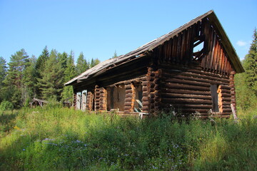 Obraz premium abandoned wooden house in the forest