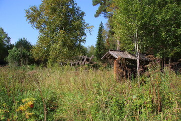 abandoned wooden house in the forest