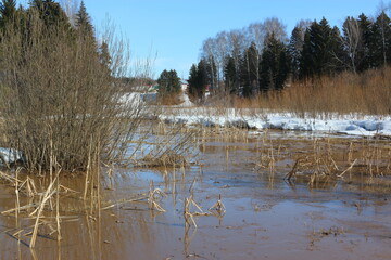 melting snow near the pond