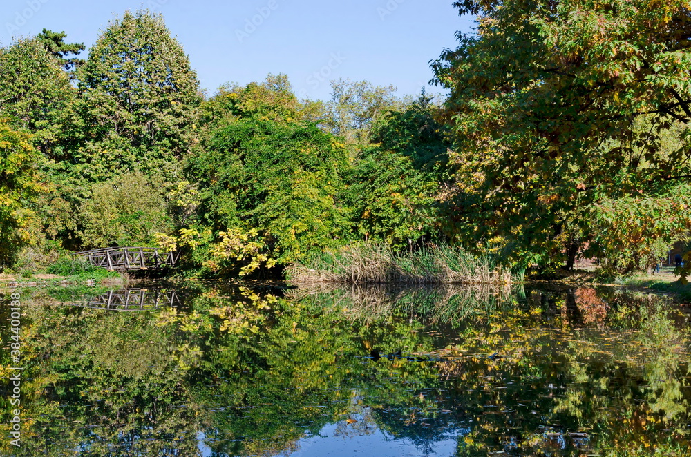 Poster Autumn colorful forest with a lake and reflections in it,  park Vrana, Sofia, Bulgaria   