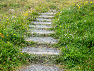 Stone steps in grass