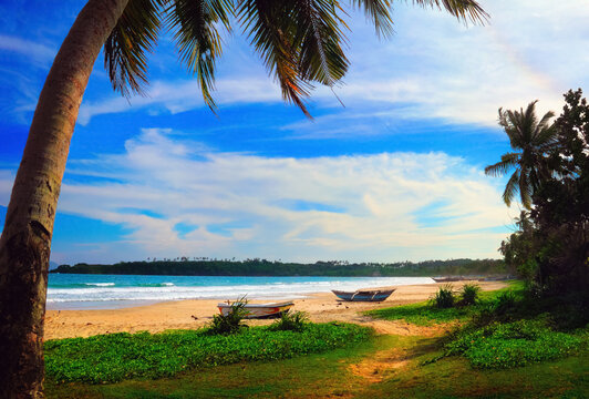 Beautiful scenic view - sea surf, few fishing boats on the sand, palm tree and green grass against the background of bright blue sky and Indian Ocean in Tangalla beach, Sri Lanka island, South Asia
