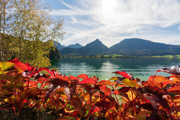 Seerundweg am Wolfgangsee im Salzkammergut im Herbst