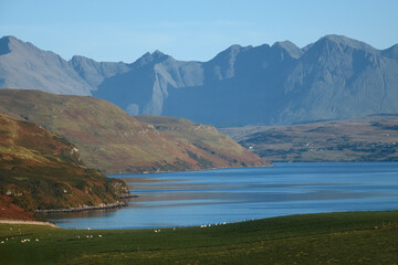 Rocky spectacular peaks of a mountain range and sea bay. Sheep grazing on the shore of the bay. Isle of Skye, Scotland