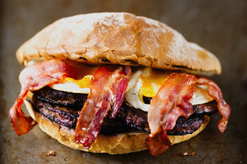 american hamburger sandwich