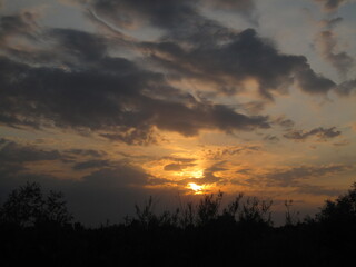 природа