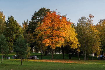 Autumn in the city Park. Pskov. Russia